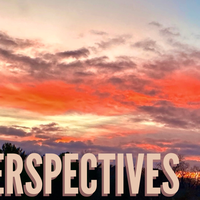 March Perspectives header Marcia Hart (1)