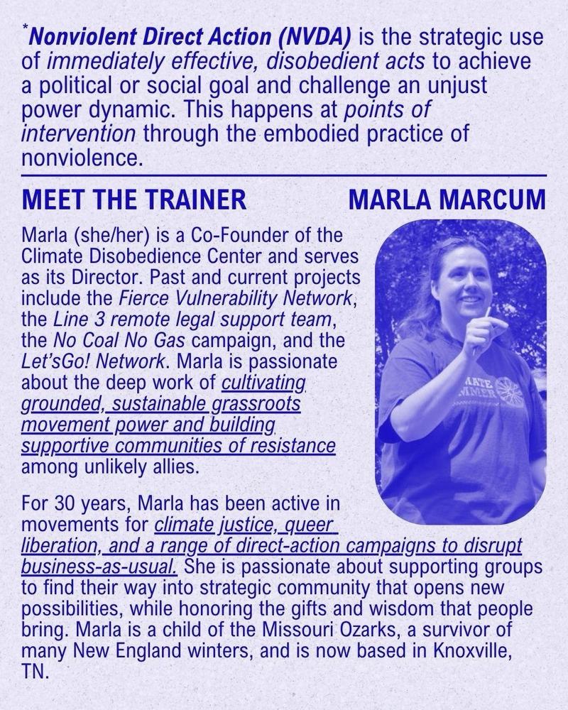 Nonviolent Direct Action Training 2
