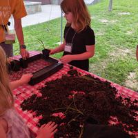 Native Plant Activity