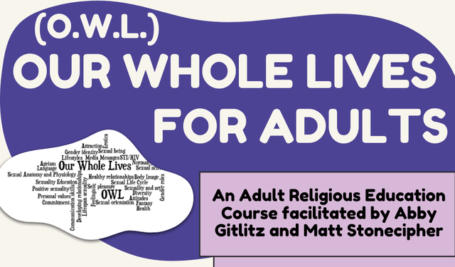 O.W.L. PC Graphic (1)