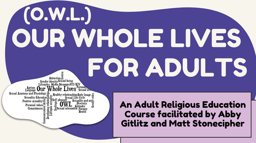 O.W.L. PC Graphic (1)