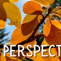 October Perspectives header Marcia Hart