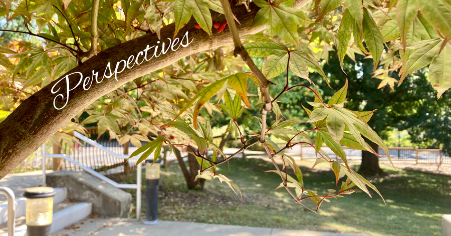 Perspectives header (13)