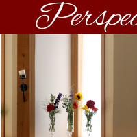 Perspectives header (13)