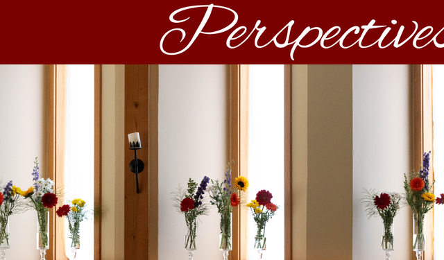 Perspectives header (13)