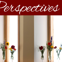 Perspectives header (13)