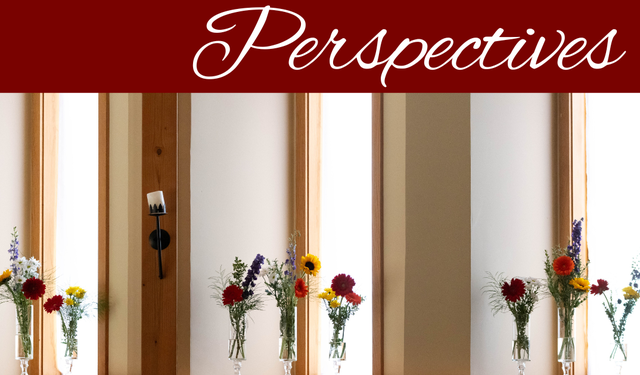 Perspectives header (13)