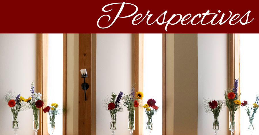 Perspectives header (13)