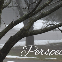Perspectives header (16)