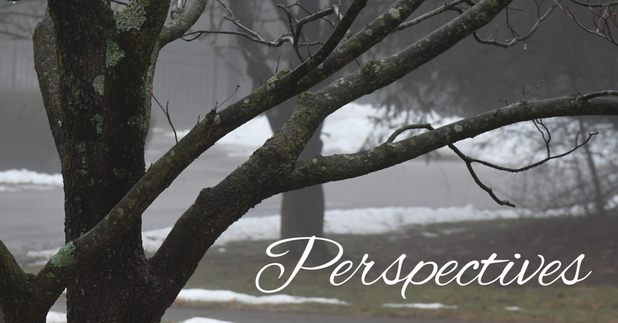 Perspectives header (16)