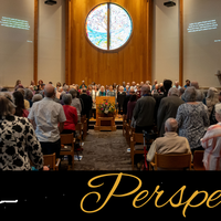 Perspectives header (17)