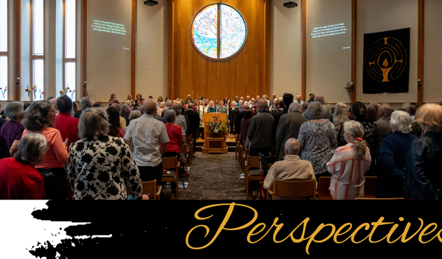 Perspectives header (17)