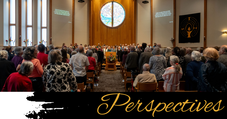 Perspectives header (17)