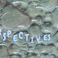 Perspectives header (18)
