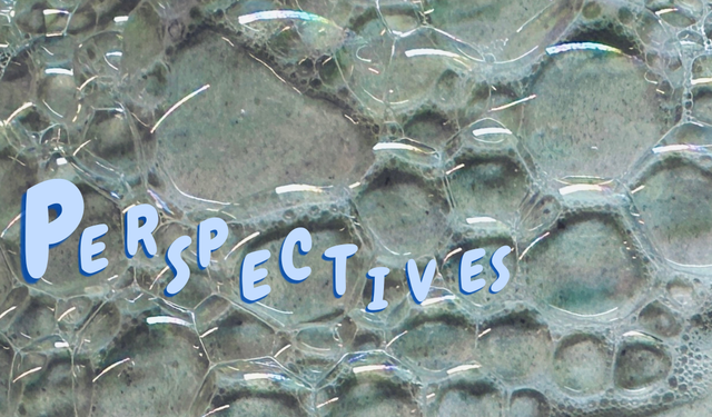 Perspectives header (18)