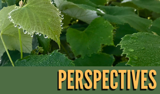 Perspectives header (19)