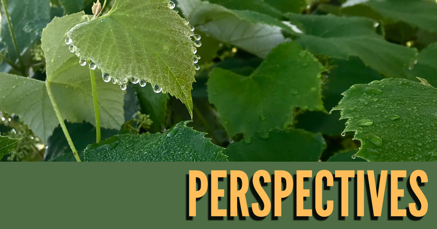 Perspectives header (19)