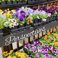 Perspectives header (26)