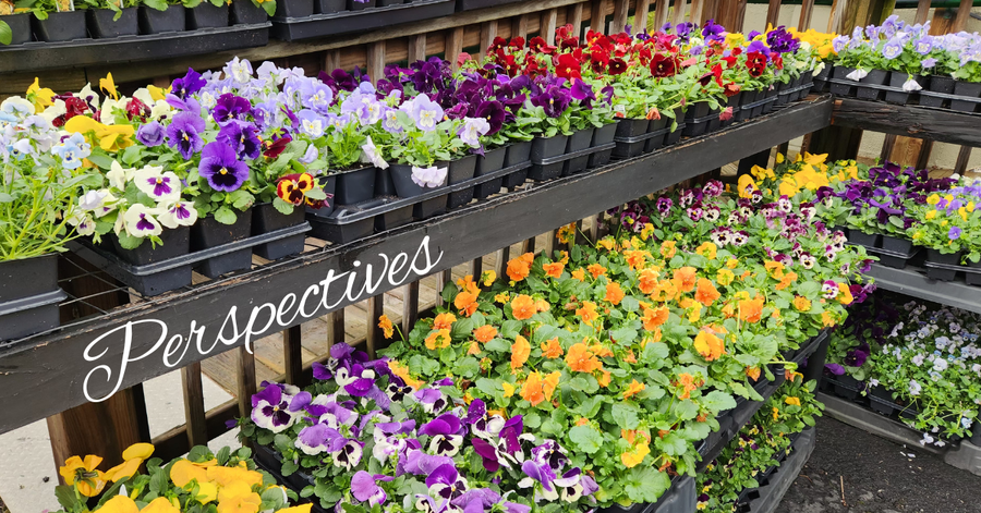 Perspectives header (26)