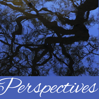 Perspectives header (28)