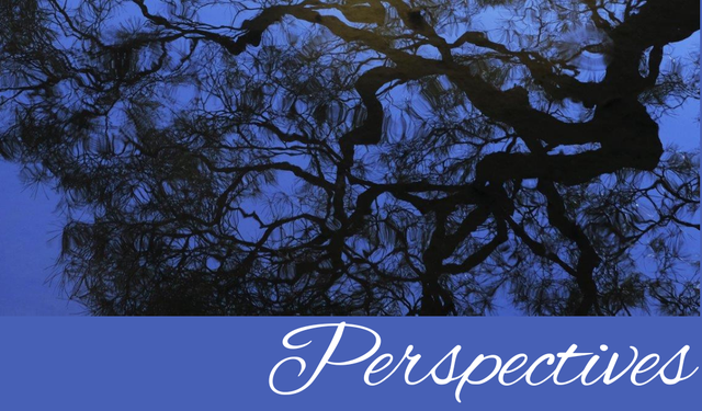 Perspectives header (28)
