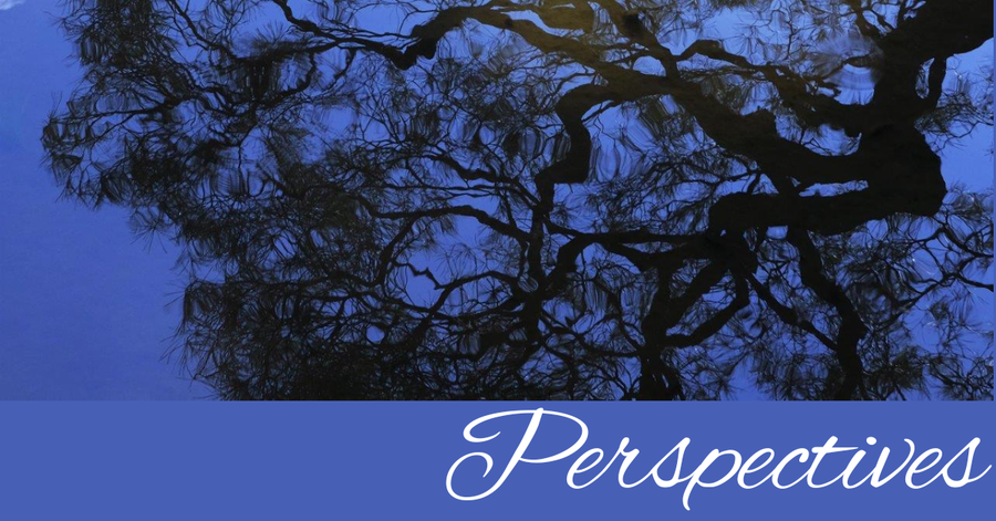 Perspectives header (28)