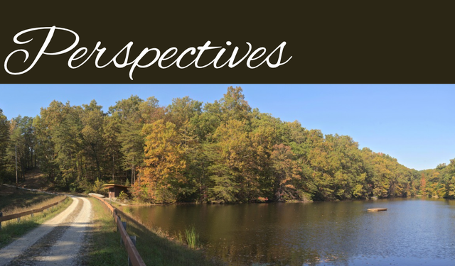 Perspectives header (30)