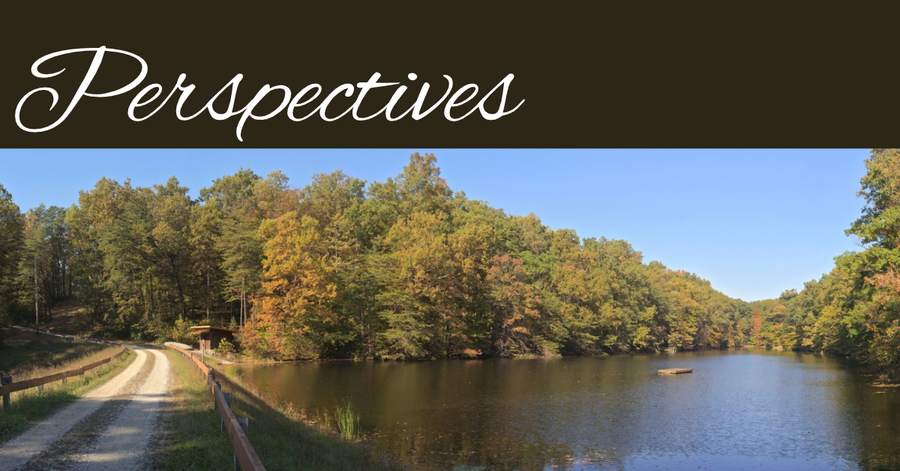 Perspectives header (30)