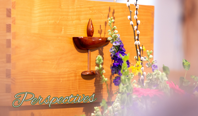 Perspectives header (4)
