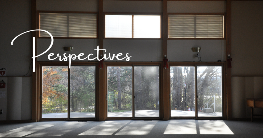 Perspectives header (6)