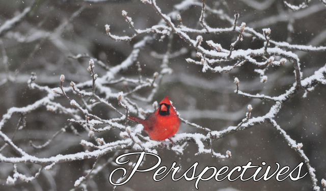 Perspectives header (6)