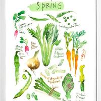 Spring Foods (1)
